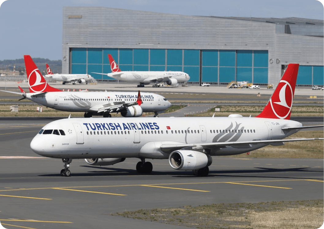 Book Turkish Airlines at Minimum Price