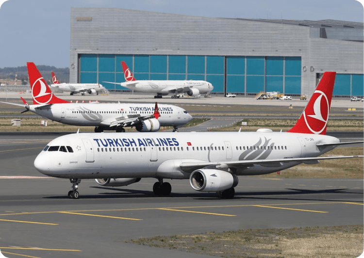 Book Turkish Airlines at Minimum Price
