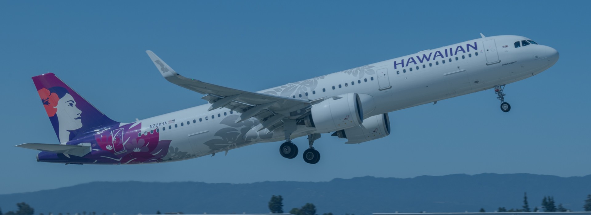Hawaiian Airlines flight search page – book cheap flights