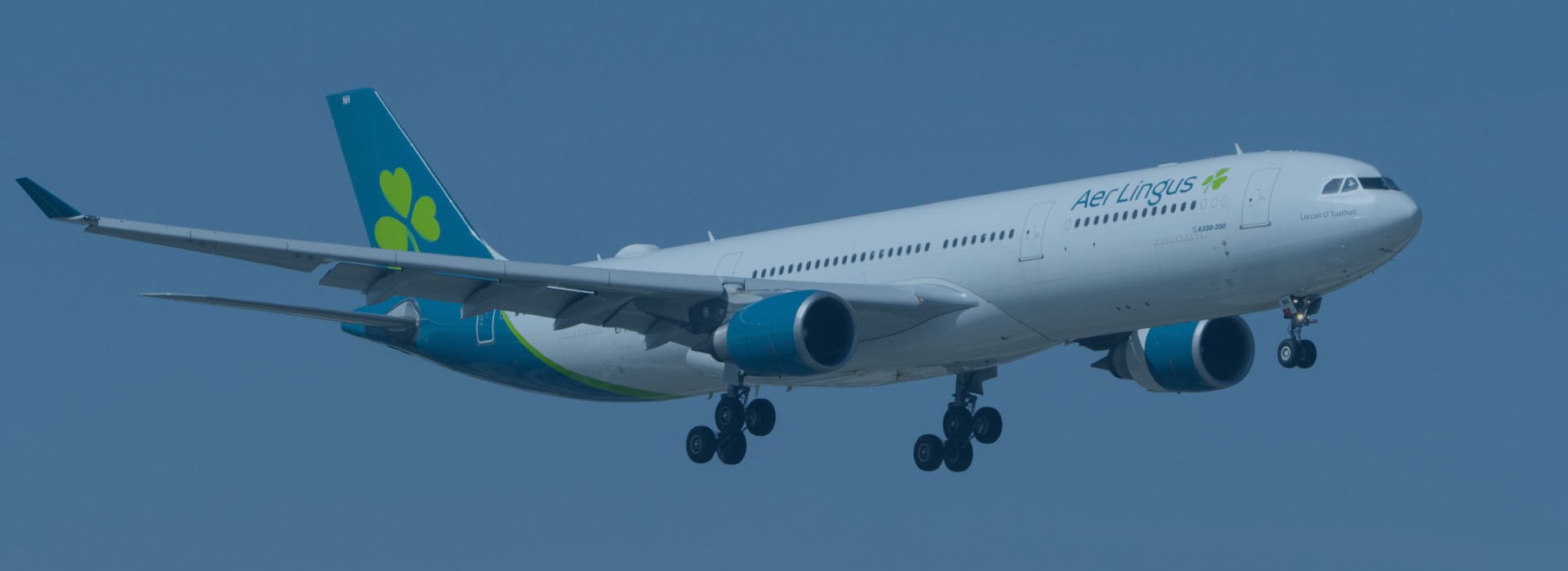 Book Aer Lingus Tickets Online